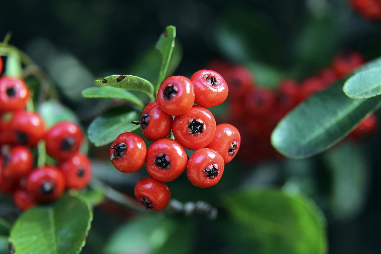 机会的个人 机会的个人