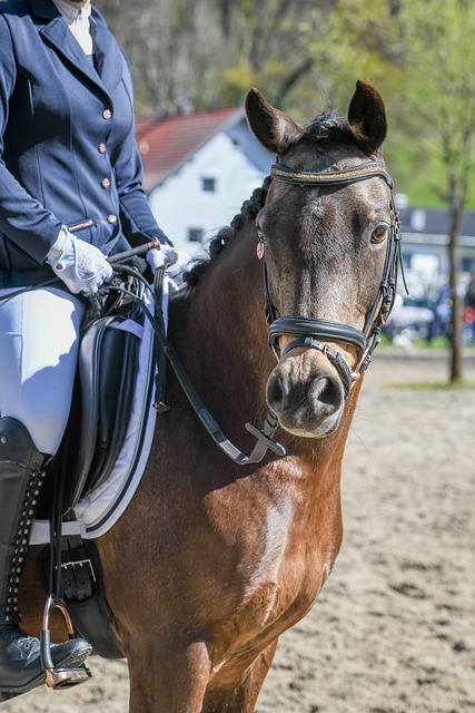 也给了球迷 也给了球迷