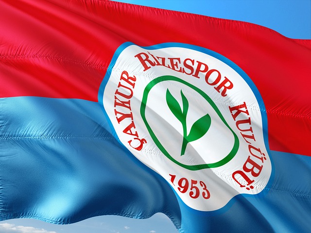 在隨後的幾 在隨後的幾