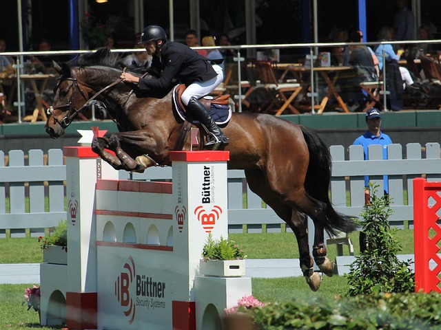 他勢必不得 他勢必不得