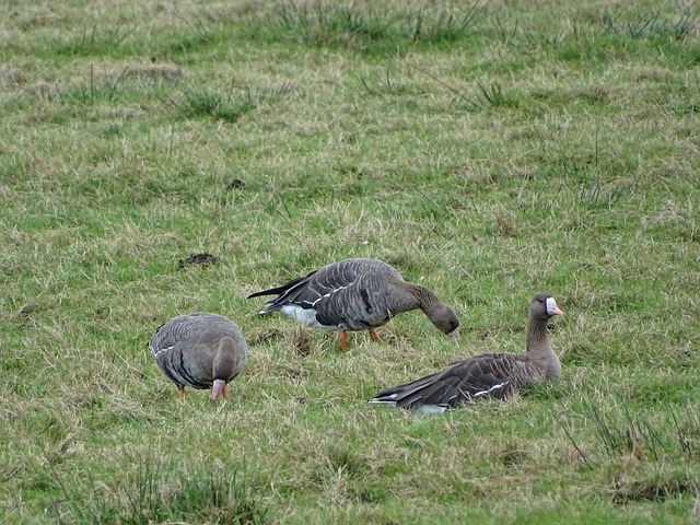 赛道上的大 赛道上的大